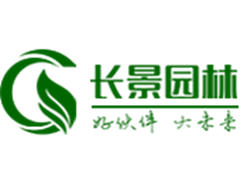 什么花在春節(jié)前后開(kāi)