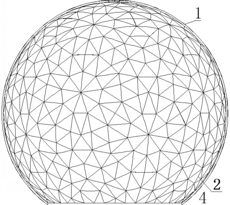 球類植物 球類植物
